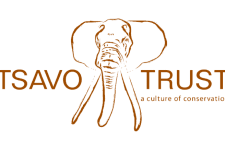 Tsavo-Web-logo (1)